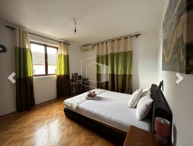 קוטור Alex Guesthouse מראה חיצוני תמונה